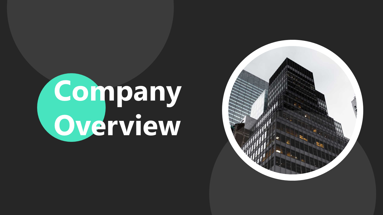 Company Overview